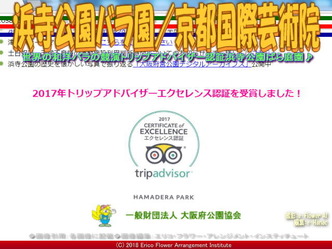 浜寺公園バラ園/京都国際芸術院画像02
▼画像クリックで640x480pxlsに拡大@エリ子花前カレン 浜寺公園バラ園/京都国際芸術院画像02
▼画像クリックで640x480pxlsに拡大@エリ子花前カレン