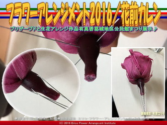 プリザーブドフラワーアレンジ(3)/ワイヤリング花前カレン画像02 プリザーブドフラワーアレンジ(3)/ワイヤリング花前カレン画像02