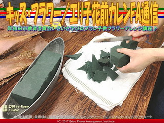 キッズ・フラワー(6)／エリ子花前カレンFA通信画像02