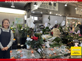 ゆく年くる年①青空市場／花前カレン画像
▼画像クリックで1280x960pxlsに拡大＠北洞院エリ子花前カレン