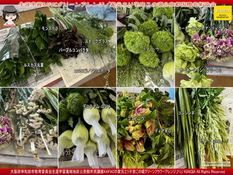 KAFACグリーンアレンジ(2)/家元エリ子@京この頃画像
▼画像クリックで1280x960pxlsに拡大@北洞院エリ子花前カレン KAFACグリーンアレンジ(2)/家元エリ子@京この頃画像
▼画像クリックで1280x960pxlsに拡大@北洞院エリ子花前カレン