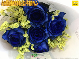 泉佐野漁港青空市場(2)/エリ子花前カレン画像03
▼画像クリックで1280x960pxlsに拡大@北洞院エリ子花前カレン 泉佐野漁港青空市場(2)/エリ子花前カレン画像03
▼画像クリックで1280x960pxlsに拡大@北洞院エリ子花前カレン