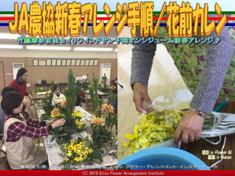 ＪＡ農協新春アレンジ手順(5)／花前カレン画像01
▼画像クリックで640x480pxlsに拡大＠エリ子花前カレン