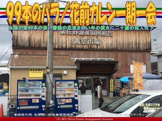 99本のバラ(3)/花前カレン一期一会画像02 99本のバラ(3)/花前カレン一期一会画像02