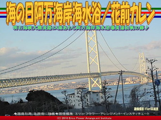 海の日淡路島／花前カレン画像03
