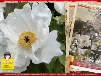 アートの旅2026春号発刊(2)／花前カレン＠京都国際芸術協会画像
▼画像クリックで1280x960pxlsに拡大＠北洞院エリ子花前カレン