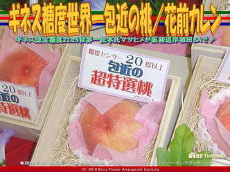 ギネス世界一かねちかの桃／花前カレン画像03