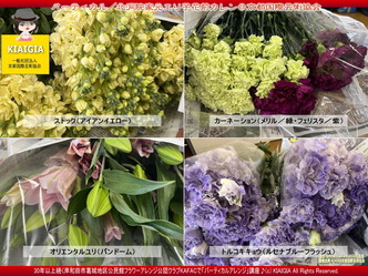 バーティカル(3)／京都国際芸術協会画像
▼画像クリックで1280x960pxlsに拡大＠北洞院エリ子花前カレン