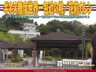 岸和田SA包近の桃／花前カレン画像01