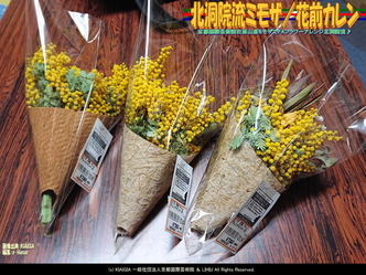 北洞院流ミモザ(3)/花前カレン画像01
▼画像クリックで1280x960pxlsに拡大@北洞院エリ子花前カレン 北洞院流ミモザ(3)/花前カレン画像01
▼画像クリックで1280x960pxlsに拡大@北洞院エリ子花前カレン