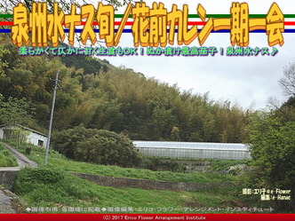 泉州水ナス旬/花前カレン一期一会画像01 泉州水ナス旬/花前カレン一期一会画像01