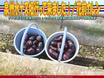泉州水ナス畑行って来ました♪/花前カレン画像02 泉州水ナス畑行って来ました♪/花前カレン画像02