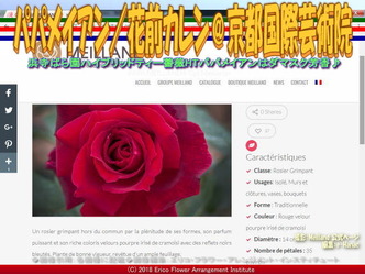 HTパパメイアンMeilland／京都国際芸術院画像02
▼画像クリックで640x480pxlsに拡大＠エリ子花前カレン