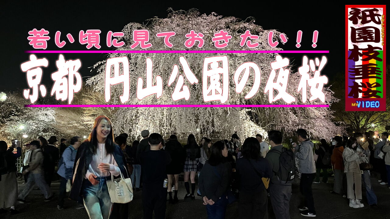YouTube動画『若い頃に見ておきたい「京都円山公園の夜桜～祇園枝垂桜」by東山Himagineハーミット』(3分1秒)画像