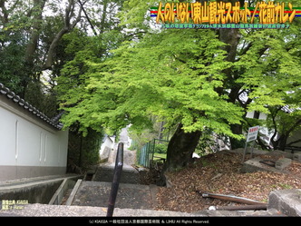 人のいない東山観光スポット(6)/花前カレン画像02
▼画像クリックで1280x960pxlsに拡大@北洞院エリ子花前カレン 人のいない東山観光スポット(6)/花前カレン画像02
▼画像クリックで1280x960pxlsに拡大@北洞院エリ子花前カレン