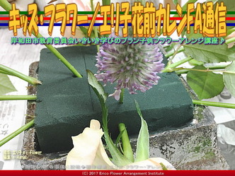 キッズ・フラワー(7)／エリ子花前カレンFA通信画像02