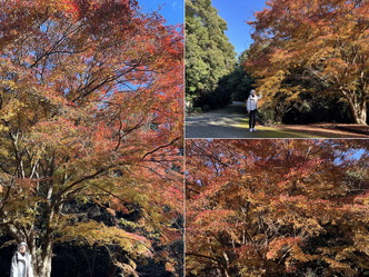 (2)昭憲皇太后の伏見桃山東陵~紅葉画像
▼画像クリックで1280x960pxlsに拡大@北洞院エリ子花前カレン (2)昭憲皇太后の伏見桃山東陵~紅葉画像
▼画像クリックで1280x960pxlsに拡大@北洞院エリ子花前カレン