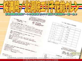 桜満開/北洞院エリ子花前カレン画像02
▼画像クリックで640x480pxlsに拡大@北洞院エリ子花前カレン 桜満開/北洞院エリ子花前カレン画像02
▼画像クリックで640x480pxlsに拡大@北洞院エリ子花前カレン