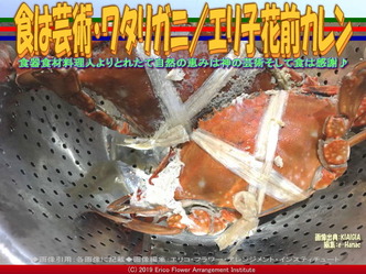 食は芸術・ワタリガニ/エリ子花前カレン画像01
▼画像クリックで640x480pxlsに拡大@エリ子花前カレン 食は芸術・ワタリガニ/エリ子花前カレン画像01
▼画像クリックで640x480pxlsに拡大@エリ子花前カレン