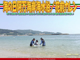 南淡路阿万海岸海水浴／花前カレン画像02
