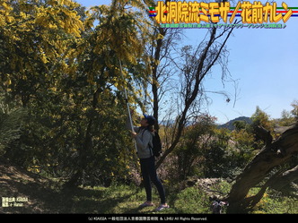 北洞院流ミモザ(4)/花前カレン画像01
▼画像クリックで1280x960pxlsに拡大@北洞院エリ子花前カレン 北洞院流ミモザ(4)/花前カレン画像01
▼画像クリックで1280x960pxlsに拡大@北洞院エリ子花前カレン