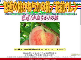 包近の桃／花前カレン一期一会画像02