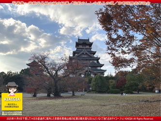 京この頃写真集～伏見桃山城の紅葉(8)／家元エリ子画像
▼画像クリックで1280x960pxlsに拡大＠北洞院エリ子花前カレン