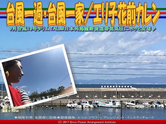 台風一過・台風一家(2)／エリ子花前カレン画像01