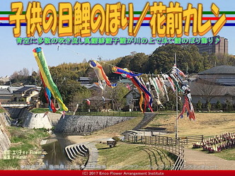 子供の日鯉のぼり(2)/花前カレン画像02 子供の日鯉のぼり(2)/花前カレン画像02