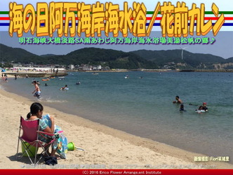 南淡路阿万海岸海水浴／花前カレン画像01