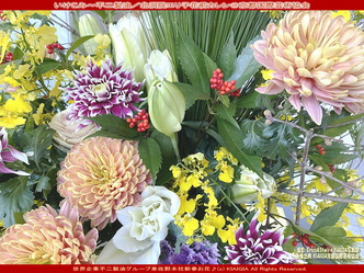 いけこみ(3)/北洞院エリ子花前カレン画像01
▼画像クリックで1280x960pxlsに拡大@北洞院エリ子花前カレン いけこみ(3)/北洞院エリ子花前カレン画像01
▼画像クリックで1280x960pxlsに拡大@北洞院エリ子花前カレン