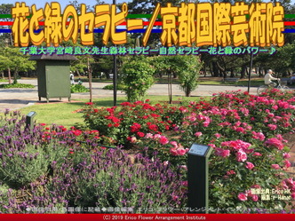 花と緑のセラピー(6)/京都国際芸術院画像02
▼画像クリックで640x480pxlsに拡大@エリ子花前カレン 花と緑のセラピー(6)/京都国際芸術院画像02
▼画像クリックで640x480pxlsに拡大@エリ子花前カレン