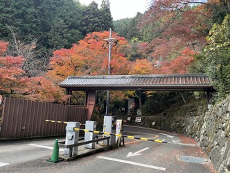 天空の名刹京都西山善峯寺の紅葉はとても綺麗だった！／紅葉に囲まれた立派な駐車場画像01