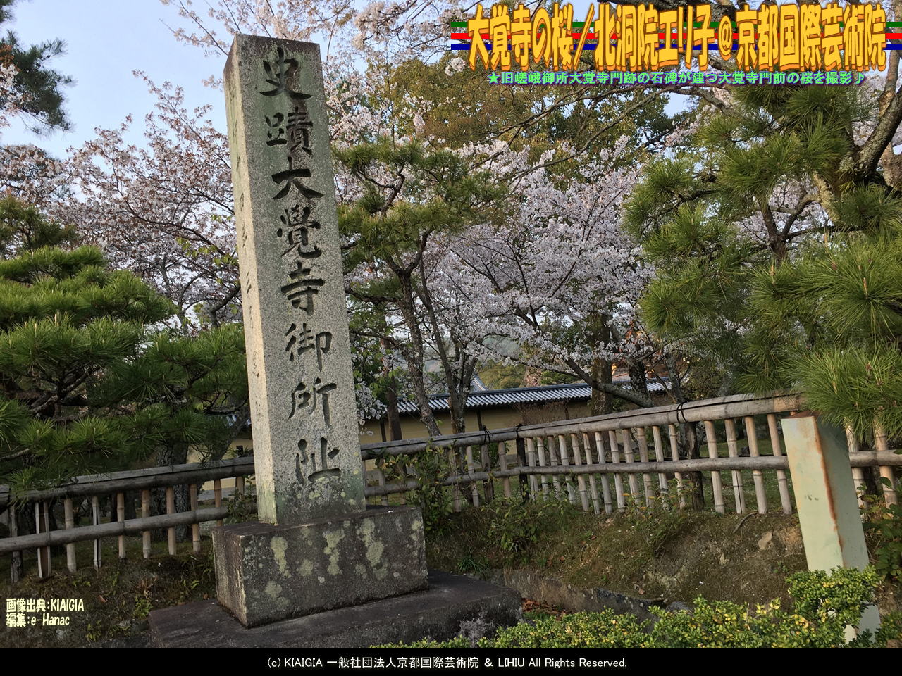 大覚寺の桜 2 北洞院エリ子 京都国際芸術院 花前のブログ By Hanasaki Karen