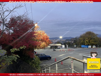 某スタッフのがん治療(6)/京都国際芸術協会画像
▼画像クリックで1280x960pxlsに拡大@北洞院エリ子花前カレン 某スタッフのがん治療(6)/京都国際芸術協会画像
▼画像クリックで1280x960pxlsに拡大@北洞院エリ子花前カレン