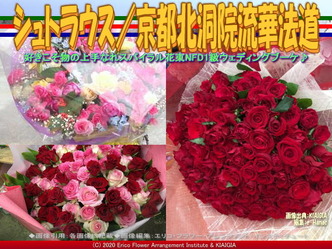 シュトラウス(6)/京都北洞院流華法道画像01
▼画像クリックで640x480pxlsに拡大@北洞院エリ子花前カレン シュトラウス(6)/京都北洞院流華法道画像01
▼画像クリックで640x480pxlsに拡大@北洞院エリ子花前カレン