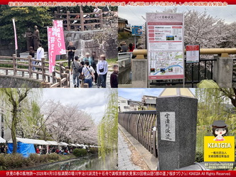 桜満開～京都伏見第20回桜まつり(3)＠桃山語り部の道／花前カレン画像
▼画像クリックで1280x960pxlsに拡大＠北洞院エリ子花前カレン