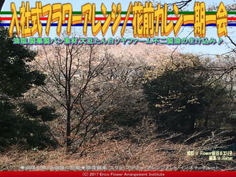 入社式フラワーアレンジ(4) /花前カレン一期一会画像03 入社式フラワーアレンジ(4) /花前カレン一期一会画像03