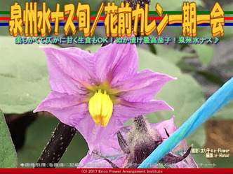 泉州水ナス旬(2)/花前カレン一期一会画像03 泉州水ナス旬(2)/花前カレン一期一会画像03