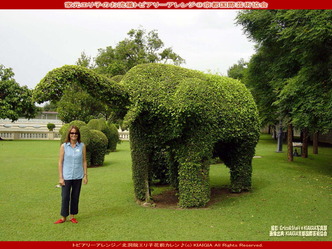 トピアリー/花前カレン画像01
▼画像クリックで1280x960pxlsに拡大@北洞院エリ子花前カレン トピアリー/花前カレン画像01
▼画像クリックで1280x960pxlsに拡大@北洞院エリ子花前カレン