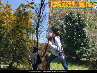 北洞院流ミモザ(5)/花前カレン画像01
▼画像クリックで1280x960pxlsに拡大@北洞院エリ子花前カレン 北洞院流ミモザ(5)/花前カレン画像01
▼画像クリックで1280x960pxlsに拡大@北洞院エリ子花前カレン