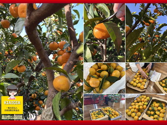 ローストチキン再生でめちゃ旨！簡単レシピまかないB級料理画像02by京都国際芸術協会CEO北洞院エリ子花前カレン（京都四条北洞院流華法道家元エリ子）＠京この頃ブログ