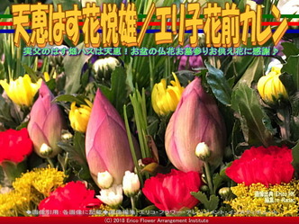 天恵はす花悦雄(2)/エリ子花前カレン画像02
▼画像クリックで640x480pxlsに拡大@エリ子花前カレン 天恵はす花悦雄(2)/エリ子花前カレン画像02
▼画像クリックで640x480pxlsに拡大@エリ子花前カレン