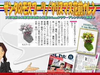 サンタのモスブーツ/クリスマス花前カレン画像01 サンタのモスブーツ/クリスマス花前カレン画像01