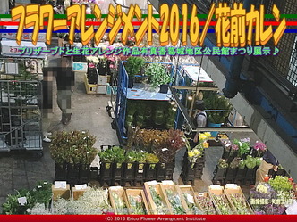 フラワーアレンジ市場(2)/公民館まつり2016花前カレン画像01 フラワーアレンジ市場(2)/公民館まつり2016花前カレン画像01