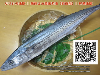 サゴシ(1)まかない健康食画像01by京都国際芸術協会CEO北洞院エリ子花前カレン（京都四条北洞院流華法道家元エリ子）＠京この頃ブログ