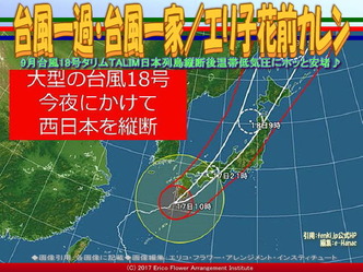 台風一過・台風一家(2)／エリ子花前カレン画像02
