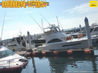 泉佐野漁港青空市場(6)/エリ子花前カレン画像03
▼画像クリックで1280x960pxlsに拡大@北洞院エリ子花前カレン 泉佐野漁港青空市場(6)/エリ子花前カレン画像03
▼画像クリックで1280x960pxlsに拡大@北洞院エリ子花前カレン