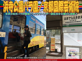 浜寺公園バラ園(5)/京都国際芸術院画像02
▼画像クリックで640x480pxlsに拡大@エリ子花前カレン 浜寺公園バラ園(5)/京都国際芸術院画像02
▼画像クリックで640x480pxlsに拡大@エリ子花前カレン