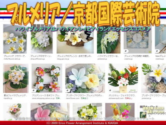 プルメリア(2)/京都国際芸術院画像02
▼画像クリックで640x480pxlsに拡大@北洞院エリ子花前カレン プルメリア(2)/京都国際芸術院画像02
▼画像クリックで640x480pxlsに拡大@北洞院エリ子花前カレン